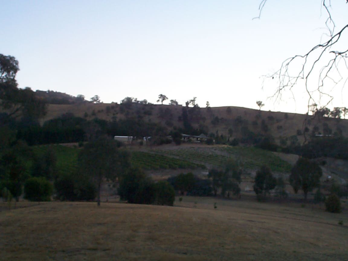 View to the south